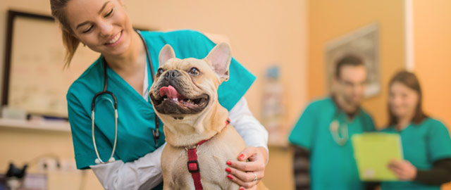 Veterinary Technology