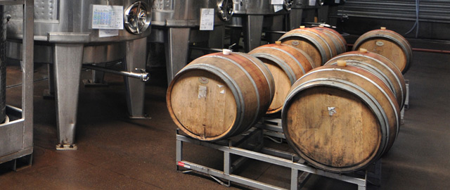 Viticulture and Enology