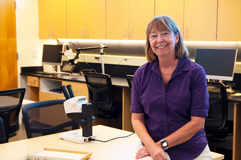 Devotion to teaching and research, Melissa Connor, PhD, is the 2019 Distinguished Faculty