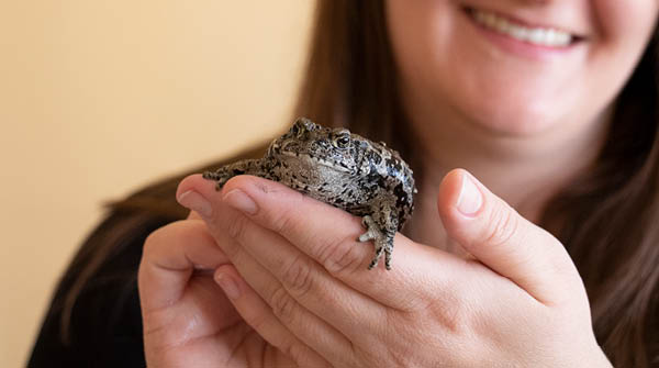 For the Love of Frogs