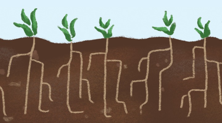 Resilient Food