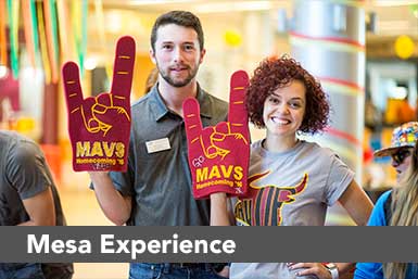 Mesa Experience